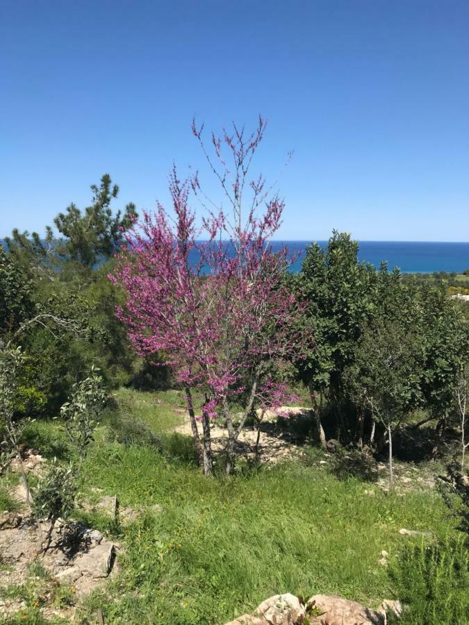 נאו חוריו Philip'S Holiday House מראה חיצוני תמונה